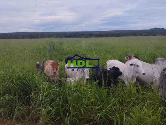 Imagem Fazenda à Venda, 487 m² em Hidrolândia Imagem Fazenda à Venda, 487 m² em Hidrolândia