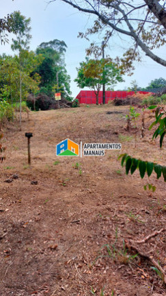 Imagem Terreno à Venda, 200 m² em Tarumã - Manaus Imagem Terreno à Venda, 200 m² em Tarumã - Manaus