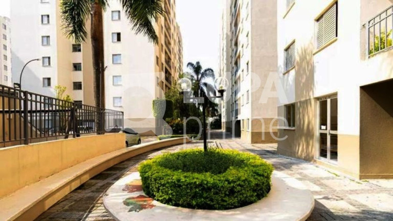 Imagem Apartamento com 3 Quartos à Venda, 64 m² em Vila Guilherme - São Paulo Imagem Apartamento com 3 Quartos à Venda, 64 m² em Vila Guilherme - São Paulo