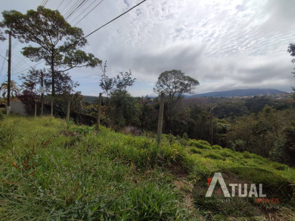 Imagem Terreno à Venda, 1.150 m² em Terra Preta - Mairiporã