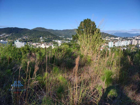 Imagem Terreno à Venda, 450 m² em Itacorubi - Florianópolis Imagem Terreno à Venda, 450 m² em Itacorubi - Florianópolis