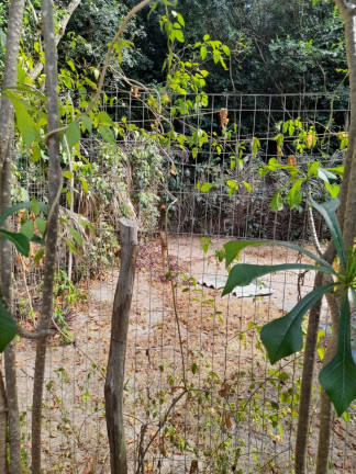 Imagem Terreno à Venda, 1.301 m² em Praia Da Pipa - Tibau Do Sul Imagem Terreno à Venda, 1.301 m² em Praia Da Pipa - Tibau Do Sul