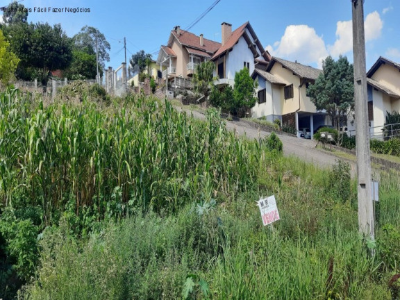 Imagem Terreno à Venda, 420 m² em Logradouro - Nova Petrópolis Imagem Terreno à Venda, 420 m² em Logradouro - Nova Petrópolis