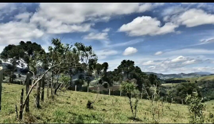 Imagem Terreno à Venda, 8.472 m² em Centro - Joanópolis