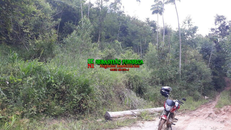 Imagem Chácara à Venda, 23 m² em Centro - Paraibuna Imagem Chácara à Venda, 23 m² em Centro - Paraibuna