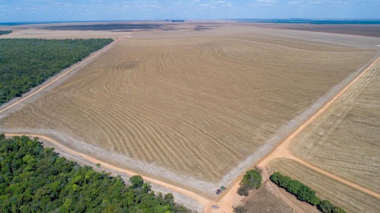 Imagem Fazenda à Venda, 3.000 m² em Zona Rural - Nova Maringá Imagem Fazenda à Venda, 3.000 m² em Zona Rural - Nova Maringá