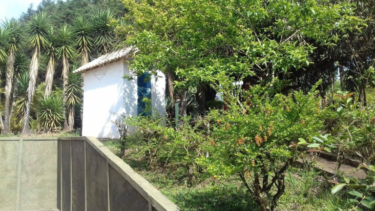 Imagem Chácara com 3 Quartos à Venda, 1.680 m² em Jardim Cananéia - Pilar Do Sul Imagem Chácara com 3 Quartos à Venda, 1.680 m² em Jardim Cananéia - Pilar Do Sul