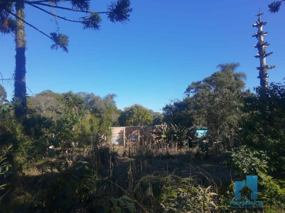 Imagem Imóvel com 2 Quartos à Venda, 100 m² em Guaragi - Ponta Grossa