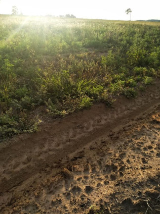 Imagem Chácara à Venda, 45 m² em Rural - Itaberá Imagem Chácara à Venda, 45 m² em Rural - Itaberá