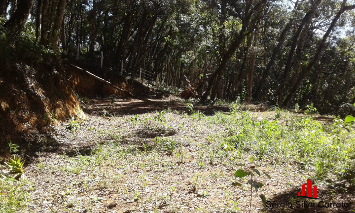 Imagem Terreno à Venda, 1 m² em Alto Do Capivari - Campos Do Jordão Imagem Terreno à Venda, 1 m² em Alto Do Capivari - Campos Do Jordão