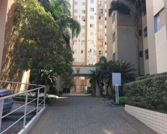 Imagem Apartamento com 2 Quartos à Venda, 48 m² em Cambuci - São Paulo Imagem Apartamento com 2 Quartos à Venda, 48 m² em Cambuci - São Paulo