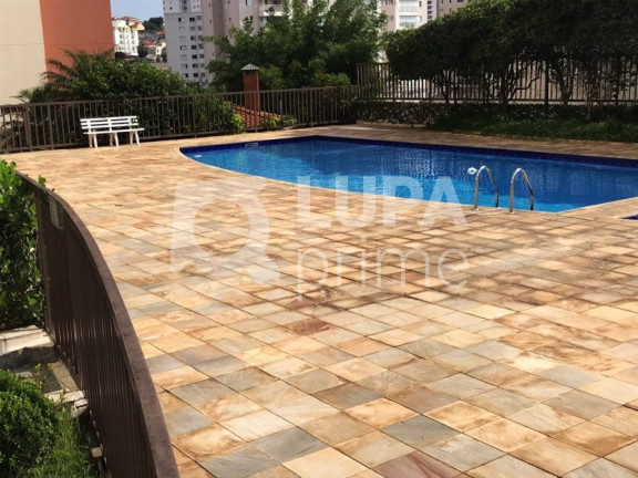 Imagem Apartamento com 3 Quartos à Venda, 70 m² em Parada Inglesa - São Paulo Imagem Apartamento com 3 Quartos à Venda, 70 m² em Parada Inglesa - São Paulo