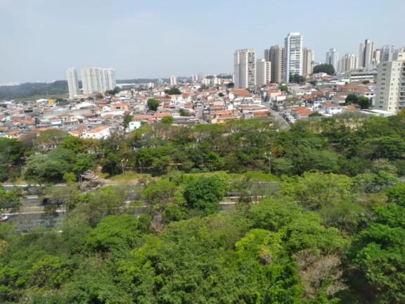 Imagem Imóvel com 4 Quartos à Venda, 142 m² em Vila Monte Alegre - São Paulo Imagem Imóvel com 4 Quartos à Venda, 142 m² em Vila Monte Alegre - São Paulo