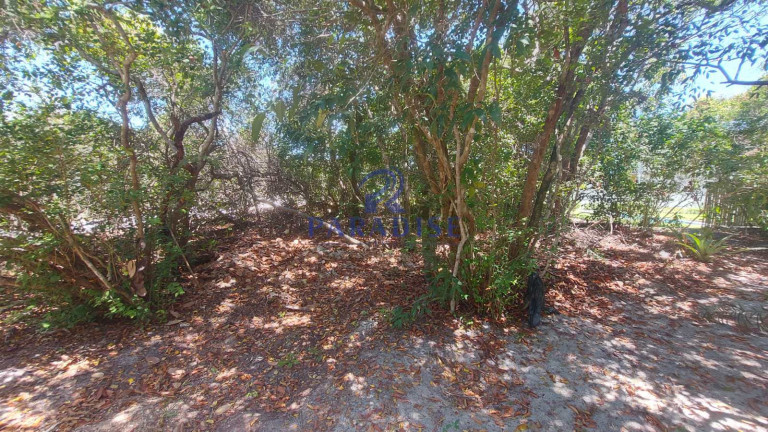 Imagem Terreno à Venda, 350 m² em Praia Do Forte - Mata De São João Imagem Terreno à Venda, 350 m² em Praia Do Forte - Mata De São João