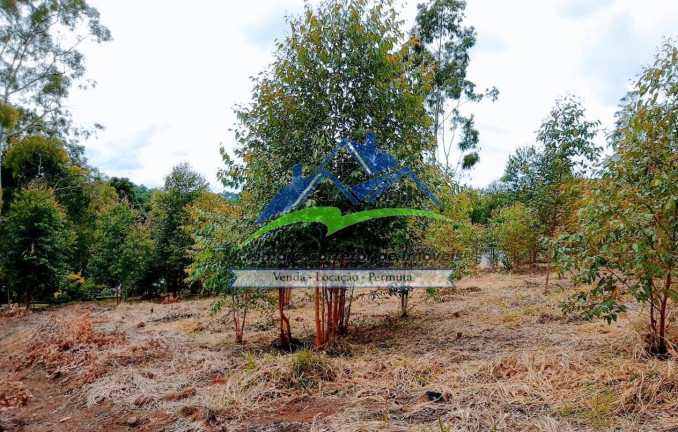 Imagem Chácara com 3 Quartos à Venda, 5.900 m² em Terra Preta - Mairiporã Imagem Chácara com 3 Quartos à Venda, 5.900 m² em Terra Preta - Mairiporã