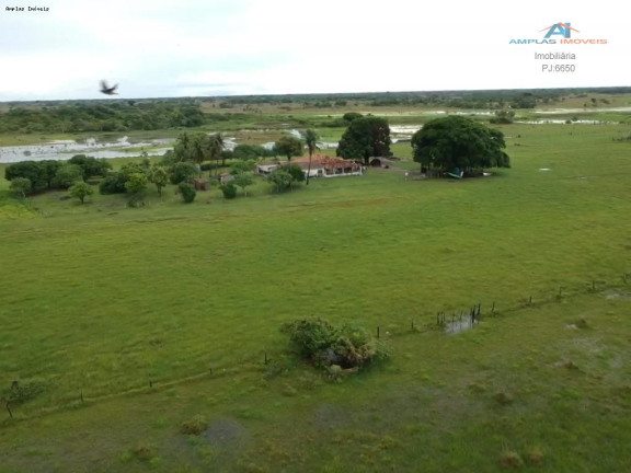 Imagem Fazenda à Venda, 58.000 m² em Cáceres Imagem Fazenda à Venda, 58.000 m² em Cáceres