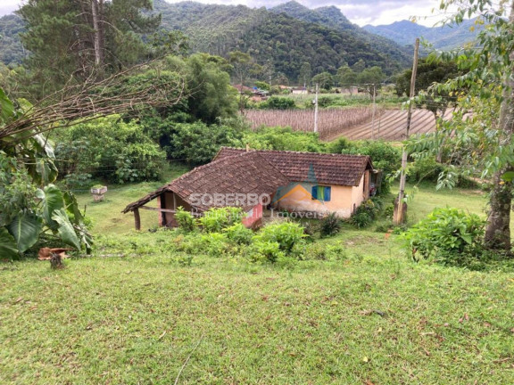 Imagem Imóvel com 6 Quartos à Venda, 544.500 m² em São Geraldo - Nova Friburgo