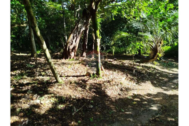 Imagem Terreno à Venda, 600 m² em Praia Do Forte - Mata De São João Imagem Terreno à Venda, 600 m² em Praia Do Forte - Mata De São João