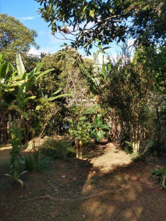 Imagem Imóvel com 2 Quartos à Venda, 1.227 m² em Fazenda Marajoara - Campo Limpo Paulista Imagem Imóvel com 2 Quartos à Venda, 1.227 m² em Fazenda Marajoara - Campo Limpo Paulista