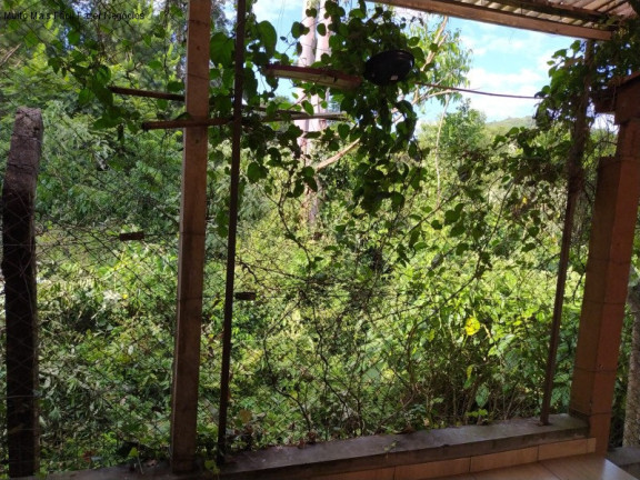 Imagem Casa com 2 Quartos à Venda, 80 m² em Piá - Nova Petrópolis