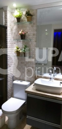 Imagem Apartamento com 3 Quartos à Venda, 61 m² em Vila Guilherme - São Paulo