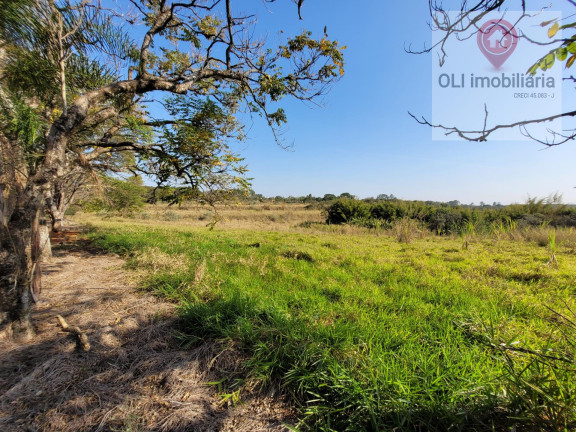 Imagem Imóvel à Venda, 97.000 m² em Bairro Soamin - Porto Feliz Imagem Imóvel à Venda, 97.000 m² em Bairro Soamin - Porto Feliz