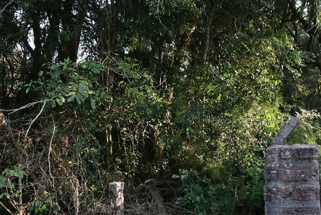 Imagem Terreno à Venda, 1.350 m² em águas Claras - Viamão Imagem Terreno à Venda, 1.350 m² em águas Claras - Viamão