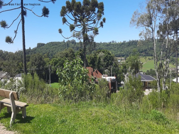Imagem Terreno à Venda, 361 m² em Linha Imperial - Nova Petrópolis Imagem Terreno à Venda, 361 m² em Linha Imperial - Nova Petrópolis