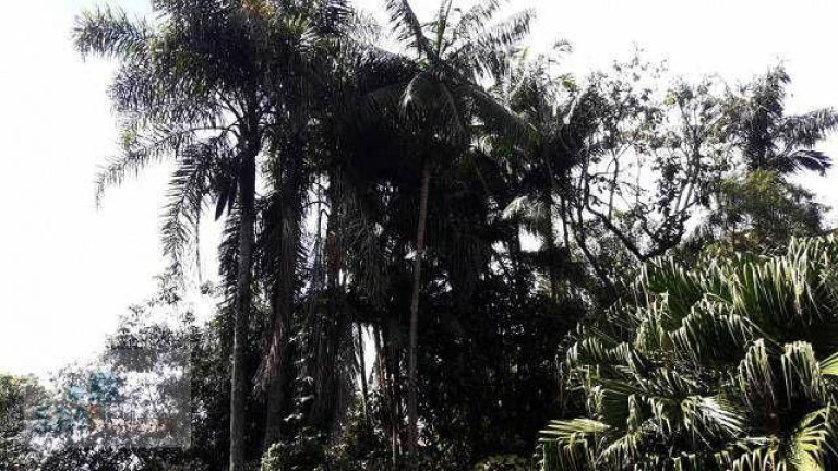 Imagem Terreno à Venda, 1.100 m² em Colônia - Ribeirão Pires Imagem Terreno à Venda, 1.100 m² em Colônia - Ribeirão Pires