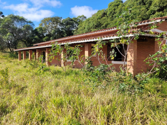 Imagem Chácara com 3 Quartos à Venda, 92 m² em Morro Grande Da Boa Vista - Bragança Paulista Imagem Chácara com 3 Quartos à Venda, 92 m² em Morro Grande Da Boa Vista - Bragança Paulista