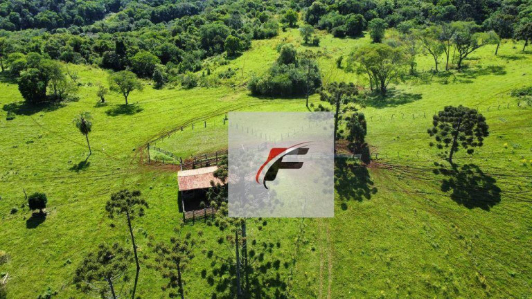 Imagem Fazenda à Venda, 1.936.000 m² em Guampará - Marquinho Imagem Fazenda à Venda, 1.936.000 m² em Guampará - Marquinho