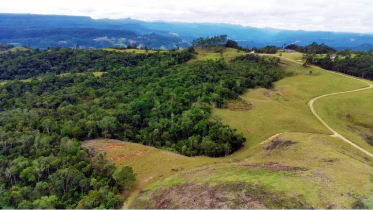 Imagem Imóvel com 2 Quartos à Venda, 950.000 m² em Zona Rural - Presidente Nereu