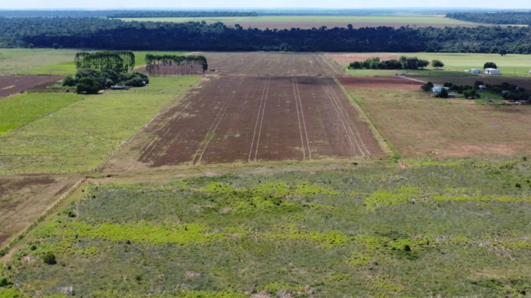 Fazenda à Venda, 1 m² em Zona Rural - Sinop