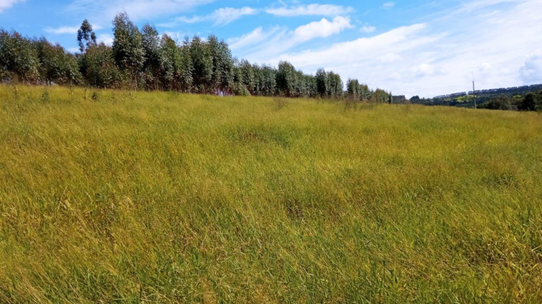 Imagem Chácara à Venda, 2 m² em Rural - Arandu Imagem Chácara à Venda, 2 m² em Rural - Arandu