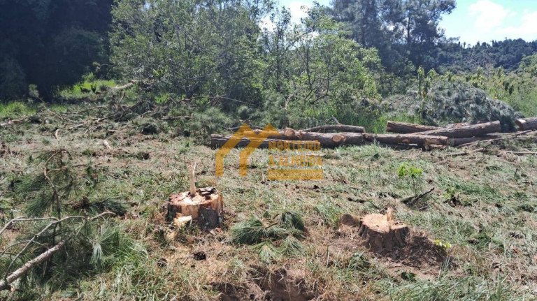 Imagem Fazenda à Venda, 314.000 m² em Vale San Fernando - Itapetininga Imagem Fazenda à Venda, 314.000 m² em Vale San Fernando - Itapetininga