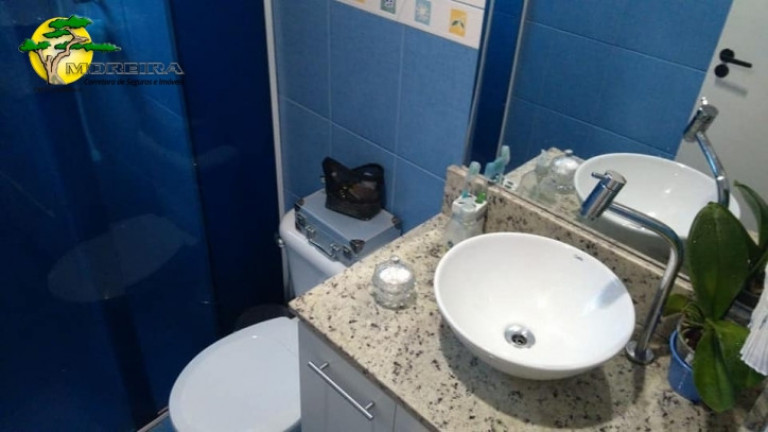 Imagem Apartamento com 3 Quartos à Venda, 65 m² em Horto Florestal - São Paulo
