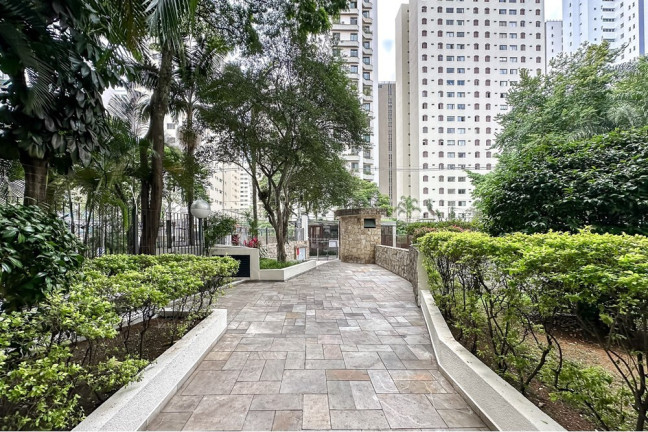 Imagem Apartamento com 2 Quartos à Venda, 62 m² em Vila Uberabinha - São Paulo Imagem Apartamento com 2 Quartos à Venda, 62 m² em Vila Uberabinha - São Paulo