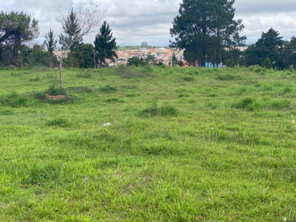 Imagem Terreno à Venda, 5.000 m² em Nações - Fazenda Rio Grande Imagem Terreno à Venda, 5.000 m² em Nações - Fazenda Rio Grande