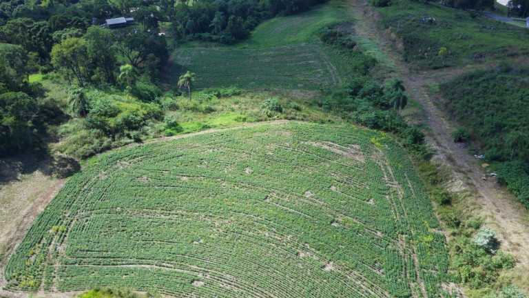 Imagem Terreno à Venda, 3.500 m² em Arvoredo - Concórdia Imagem Terreno à Venda, 3.500 m² em Arvoredo - Concórdia