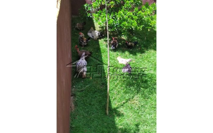 Imagem Imóvel com 3 Quartos à Venda, 1.060 m² em Arujá - Arujá