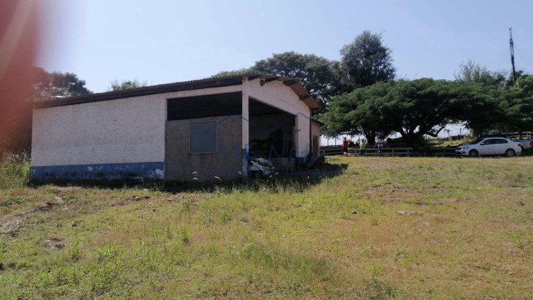 Imagem Fazenda à Venda, 22 m² em Roque - Pirassununga Imagem Fazenda à Venda, 22 m² em Roque - Pirassununga