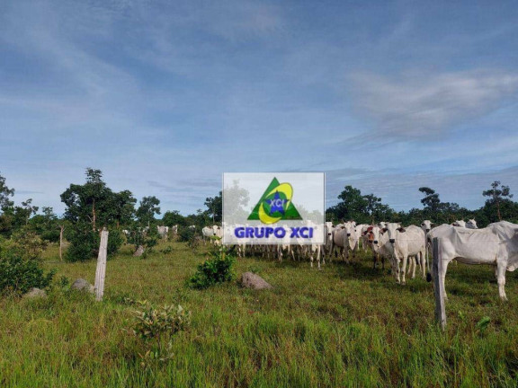 Imagem Fazenda à Venda, 13.775.000 m² em Zona Rural - Cocalinho Imagem Fazenda à Venda, 13.775.000 m² em Zona Rural - Cocalinho