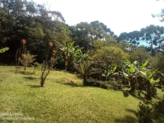 Imagem Imóvel com 2 Quartos à Venda, 5.315 m² em Tatetos - São Bernardo Do Campo