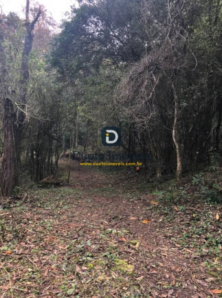 Imagem Chácara à Venda, 170.000 m² em Boca Do Monte - Santa Maria Imagem Chácara à Venda, 170.000 m² em Boca Do Monte - Santa Maria