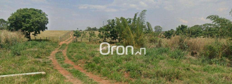 Imagem Fazenda à Venda, 58.000 m² em Zona Rural - Goiânia Imagem Fazenda à Venda, 58.000 m² em Zona Rural - Goiânia