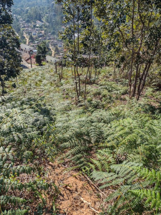 Imagem Terreno à Venda, 324 m² em Albuquerque - Teresópolis Imagem Terreno à Venda, 324 m² em Albuquerque - Teresópolis
