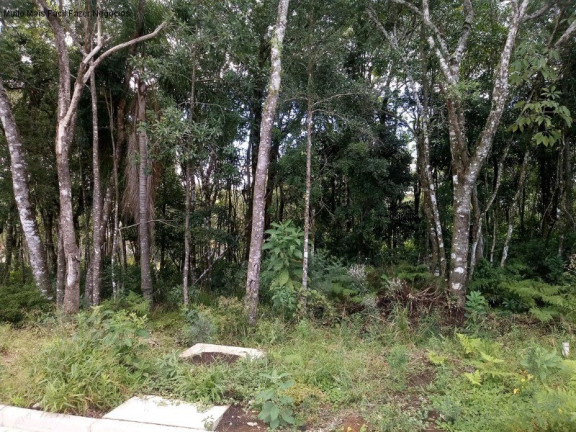 Terreno à Venda, 370 m² em Linha Imperial - Nova Petrópolis