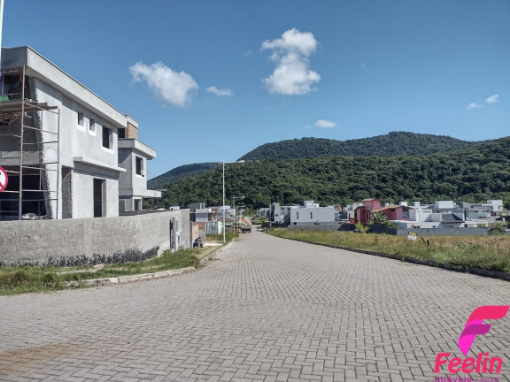 Casa com 3 Quartos à Venda, 204 m² em Rio Tavares - Florianópolis