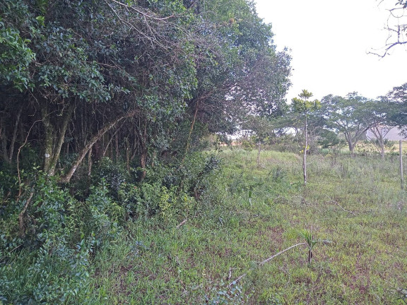 Imagem Chácara à Venda, 20.000 m² em águas Claras - Viamão Imagem Chácara à Venda, 20.000 m² em águas Claras - Viamão
