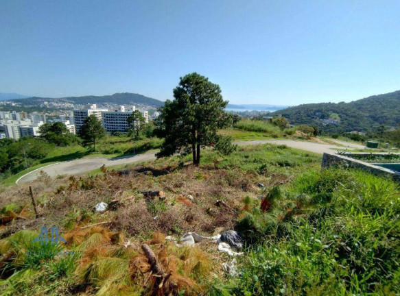 Imagem Terreno à Venda, 525 m² em Itacorubi - Florianópolis